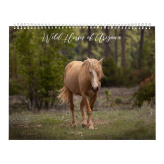 Wilde paarden van Arizona Kalender