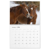 Wilde paarden van Arizona Kalender (Jan 2026)