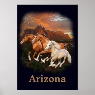 Wilde paarden van Arizona Poster