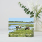 Wilde paarden van Assateague Briefkaart (Staand voorkant)
