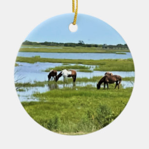 Wilde paarden van Assateague Keramisch Ornament