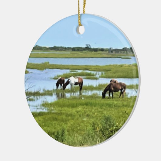 Wilde paarden van Assateague Keramisch Ornament (Links)
