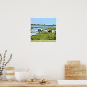Wilde paarden van Assateague Poster (Keuken)