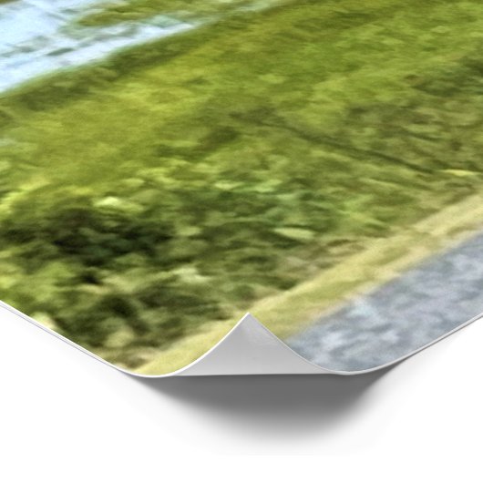 Wilde paarden van Assateague Poster (Hoek)