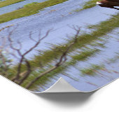 Wilde paarden van Assateague poster (Hoek)