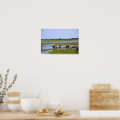 Wilde paarden van Assateague poster (Keuken)