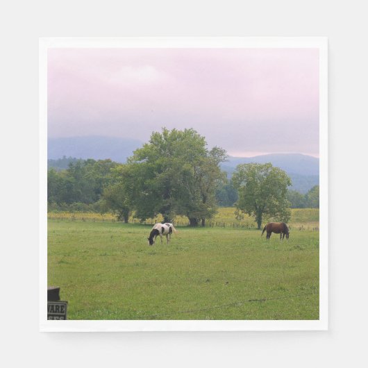 Wilde paarden van Cades Cove Servet (Voorkant)