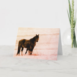 WILDE PAARDEN VAN DE KUDDE UTAH ONAQUI KAART