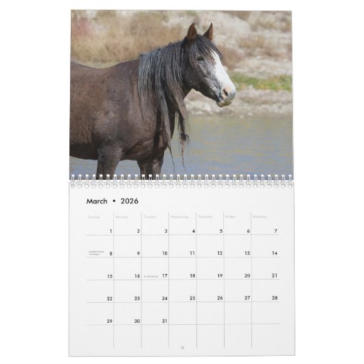 Wilde Paarden van de Onaqui - Kalender 2024 (Mar 2026)