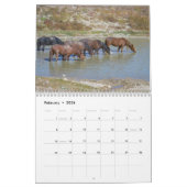 Wilde Paarden van de Onaqui - Kalender 2024 (Feb 2026)