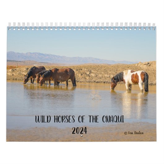 Wilde Paarden van de Onaqui - Kalender 2024 (Hoes)