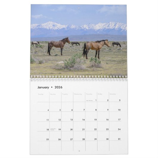 Wilde Paarden van de Onaqui - Kalender 2024 (Jan 2026)