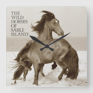 Wilde paarden van de Sable Island Clock Vierkante Klok