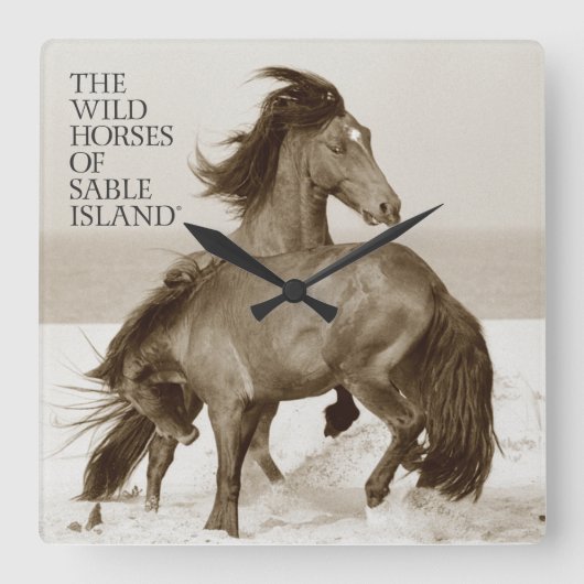Wilde paarden van de Sable Island Clock Vierkante Klok (Voorkant)