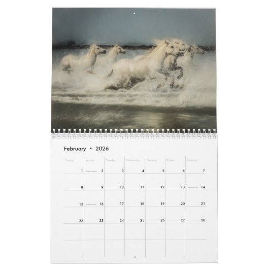 Wilde paarden van Frankrijk - Wall Calendar 2019 Kalender (Feb 2026)