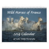 Wilde paarden van Frankrijk - Wall Calendar 2019 Kalender (Hoes)