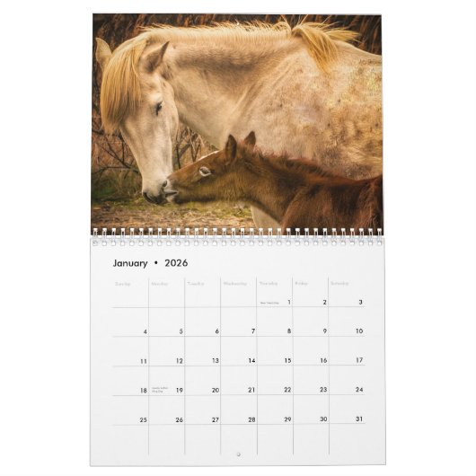 Wilde paarden van Frankrijk - Wall Calendar 2019 Kalender (Jan 2026)