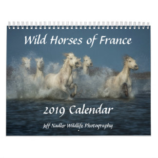 Wilde paarden van Frankrijk - Wall Calendar 2019 Kalender