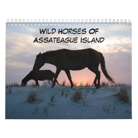 Wilde paarden van het eiland Assateague Kalender (Hoes)