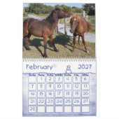 Wilde paarden van het eiland Assateague Kalender (Feb 2027)