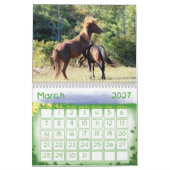 Wilde paarden van het eiland Assateague Kalender (Mar 2027)