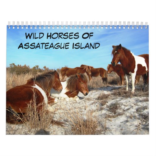 Wilde paarden van het eiland Assateague Kalender (Hoes)