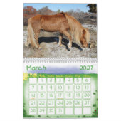 Wilde paarden van het eiland Assateague Kalender (Mar 2027)