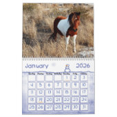Wilde paarden van het eiland Assateague Kalender (Jan 2026)
