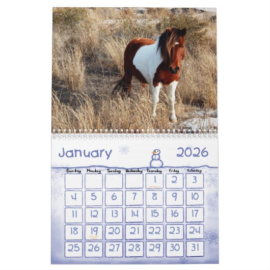 Wilde paarden van het eiland Assateague Kalender (Jan 2026)