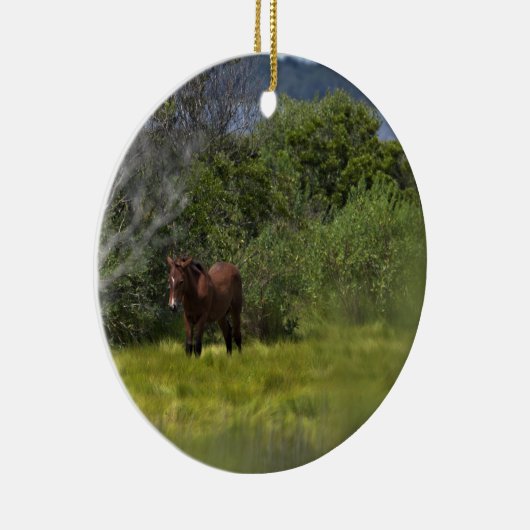 Wilde paarden van het onheilspellende keramisch si keramisch ornament (Rechts)