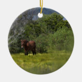 Wilde paarden van het onheilspellende keramisch si keramisch ornament (Voorkant)