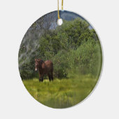 Wilde paarden van het onheilspellende keramisch si keramisch ornament (Links)