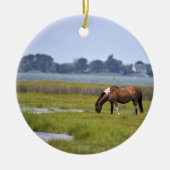 Wilde paarden van het onheilspellende keramisch si ornament (Voorkant)