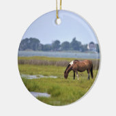 Wilde paarden van het onheilspellende keramisch si ornament (Links)