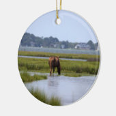 Wilde paarden van het onheilspellende keramisch si ornament (Links)