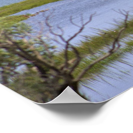 Wilde paarden van het Poster van Assateague (Hoek)