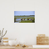 Wilde paarden van het Poster van Assateague (Keuken)