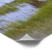 Wilde paarden van het Poster van Assateague (Hoek)