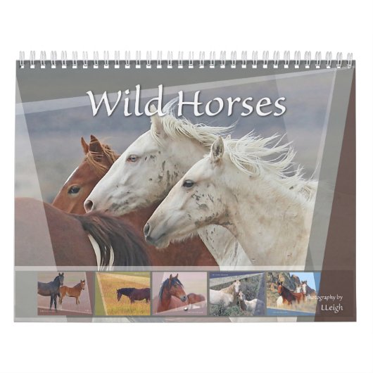 Wilde paarden van het Westen Kalender (Hoes)