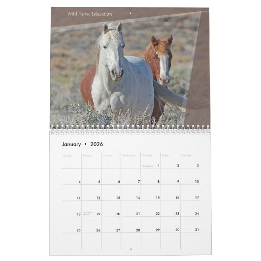 Wilde paarden van het Westen Kalender (Jan 2026)