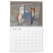 Wilde paarden van het Westen Kalender (Jan 2027)
