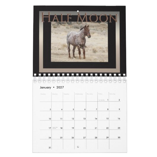 Wilde paarden van het zand-wasbekken, Colorado Kalender (Jan 2027)