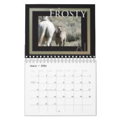 Wilde paarden van het zand-wasbekken, Colorado Kalender (Mar 2026)