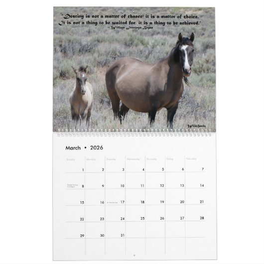Wilde paarden van het zand-wasbekken kalender (Mar 2026)