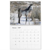 Wilde paarden van het zand-wasbekken kalender (Feb 2027)