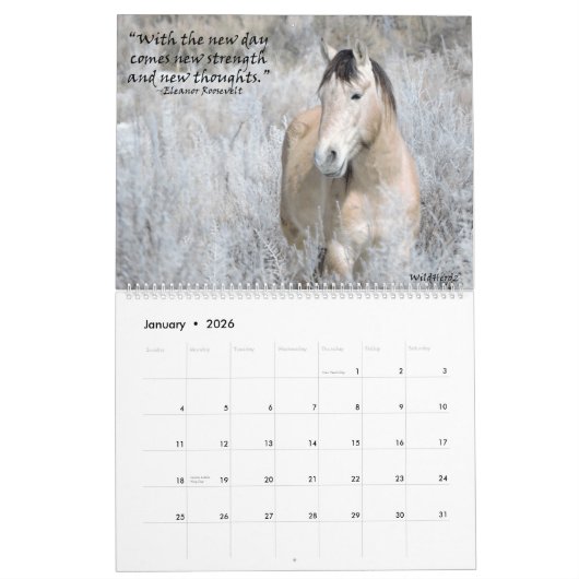 Wilde paarden van het zand-wasbekken kalender (Jan 2026)