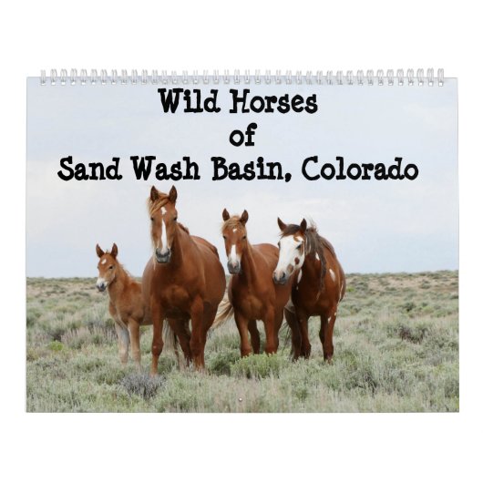 Wilde paarden van het zand-wasbekken kalender (Hoes)