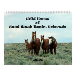 Wilde paarden van het zand- wasbekken kalender