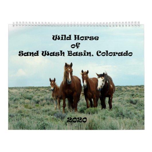 Wilde paarden van het zand- wasbekken kalender (Hoes)