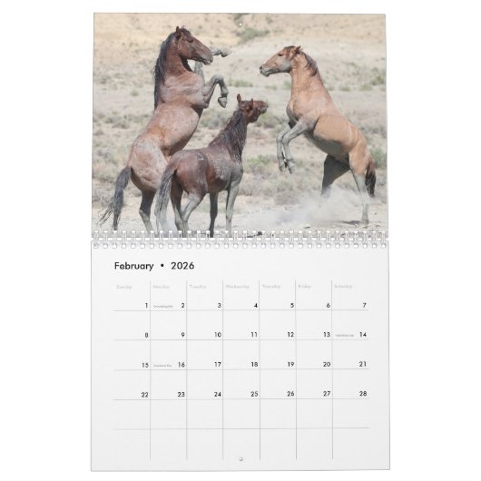 Wilde paarden van het zand- wasbekken kalender (Feb 2026)